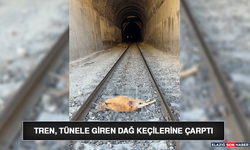 Tren, Tünele Giren Dağ Keçilerine Çarptı