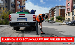 Elazığ’da 12 Ay Boyunca Larva Mücadelesi Sürüyor