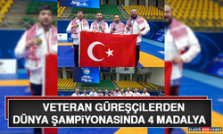 Veteran Güreşçilerden Dünya Şampiyonasında 4 Madalya