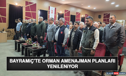 Bayramiç'te Orman Amenajman Planları Yenileniyor