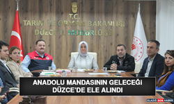 Anadolu Mandasının Geleceği Düzce’de Ele Alındı
