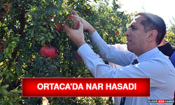 Ortaca'da Nar Hasadı