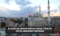 Elazığ’da Bekâr Nüfus Oranı Türkiye Ortalamasının Üzerinde