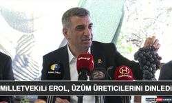 Milletvekili Erol, Üzüm Üreticilerini Dinledi