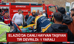 Elazığ'da Canlı Hayvan Taşıyan Tır Devrildi: 1 Yaralı