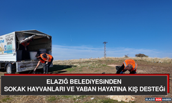 Elazığ Belediyesinden Sokak Hayvanları ve Yaban Hayatına Kış Desteği