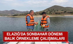 Elazığ'da Sonbahar Dönemi Balık Örnekleme Çalışmaları
