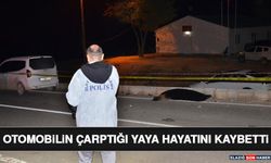 Otomobilin Çarptığı Yaya Hayatını Kaybetti