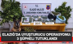 Elazığ’da Uyuşturucu Operasyonu: 3 Şüpheli Tutuklandı