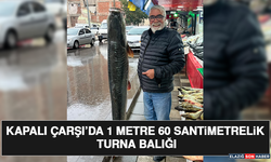 Kapalı Çarşı’da 1 Metre 60 Santimetrelik Turna Balığı