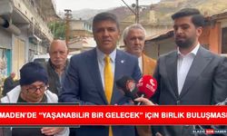 Maden’de “Yaşanabilir Bir Gelecek” İçin Birlik Buluşması