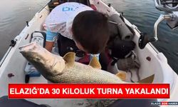 Elazığ’da 30 Kiloluk Turna Yakalandı