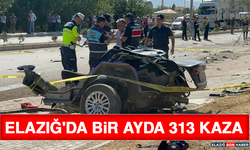 Elazığ'da Bir Ayda 313 Kaza