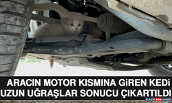 Aracın Motor Kısmına Giren Kedi Uzun Uğraşlar Sonucu Çıkartıldı