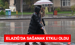 Elazığ'da Sağanak Etkili Oldu