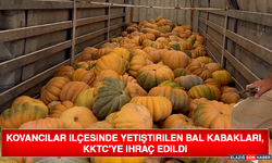 Kovancılar İlçesinde Yetiştirilen Bal Kabakları, KKTC'ye İhraç Edildi