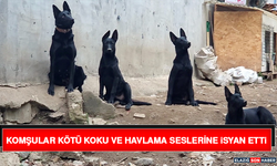 Komşular Kötü Koku ve Havlama Seslerine İsyan Etti