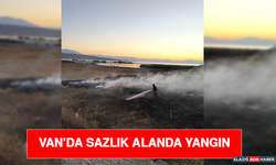 Van’da Sazlık Alanda Yangın