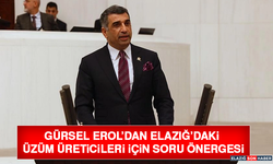 Gürsel Erol’dan Elazığ’daki Üzüm Üreticileri İçin Soru Önergesi