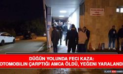Düğün Yolunda Feci Kaza: Otomobilin Çarptığı Amca Öldü, Yeğeni Yaralandı