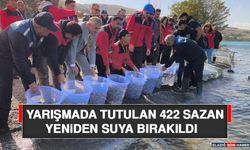 Yarışmada Tutulan 422 Sazan Yeniden Suya Bırakıldı