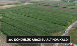300 Dönümlük Arazi Su Altında Kaldı