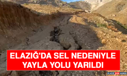 Elazığ'da Sel Nedeniyle Yayla Yolu Yarıldı