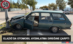 Elazığ’da Otomobil Aydınlatma Direğine Çarptı