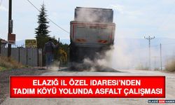 Elazığ İl Özel İdaresi’nden Tadım Köyü Yolunda Asfalt Çalışması