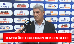 Kayısı Üreticilerinin Beklentileri