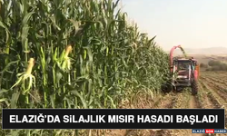 Elazığ’da Silajlık Mısır Hasadı Başladı