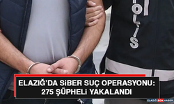 Elazığ’da Siber Suç Operasyonu: 275 Şüpheli Yakalandı