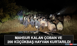 Mahsur Kalan Çoban ve 200 Küçükbaş Hayvan Kurtarıldı