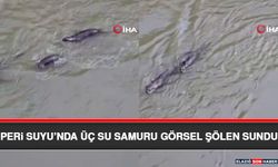 Peri Suyu’nda Üç Su Samuru Görsel Şölen Sundu