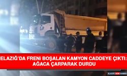 Elazığ’da Freni Boşalan Kamyon Caddeye Çıktı: Ağaca Çarparak Durdu