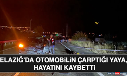 Elazığ’da Otomobilin Çarptığı Yaya, Hayatını Kaybetti