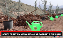 Şehitlerimizin Anısına Fidanlar Toprakla Buluştu