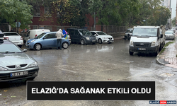 Elazığ'da Sağanak Etkili Oldu