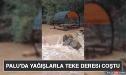 Palu'da Yağışlarla Teke Deresi Coştu