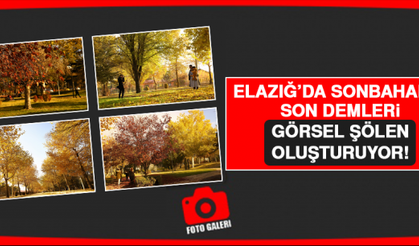 Elazığ’da Sonbaharın Son Demleri Görsel Şölen Oluşturuyor