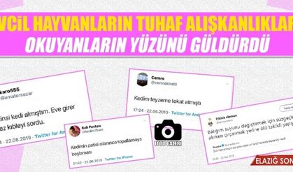 Evcil Hayvanlarının Tuhaf Alışkanlıklarını Paylaşarak Güldürdüler