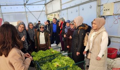 Topraksız tarım projesine kadın çiftçilerden yoğun ilgi
