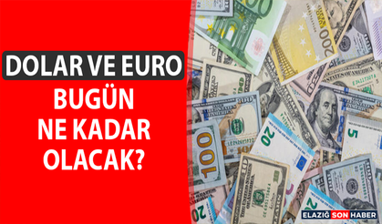 26 Nisan Dolar ve Euro Fiyatları