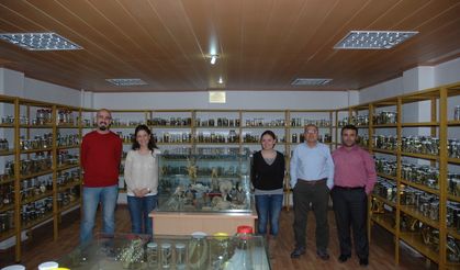 Yeni Bir Bakteri Türü Bulundu