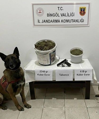 Bingöl'de uyuşturucu operasyonu: 3 gözaltı