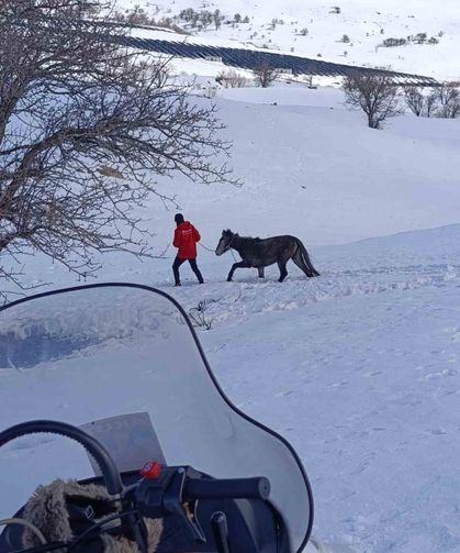 Kurtların saldırısına uğrayan ve dağda mahsur kalan at kurtarıldı