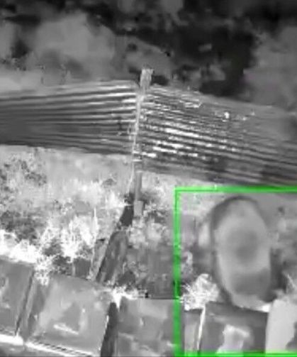 Kış uykusundan kalkan ayı, kovanlara saldırdı