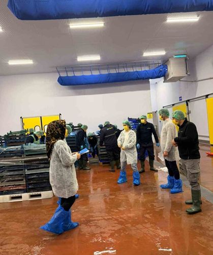 Bingöl'de balık işleme tesisleri denetlendi