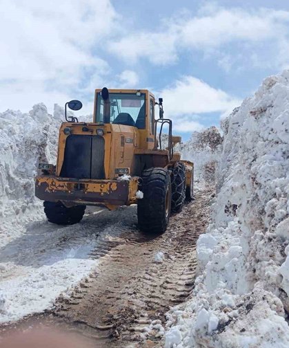 Bingöl'de metrelerce karla mücadele