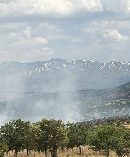 Bingöl'de çıkan orman yangını büyümeden kontrol altına alındı